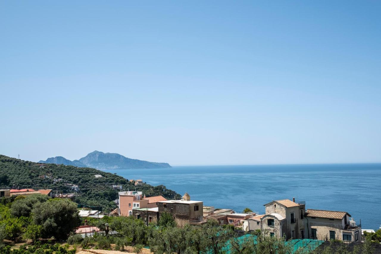 Neva Suites Massa Lubrense Sorrento Coast Exterior photo